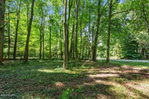 10256 Community Hall Road