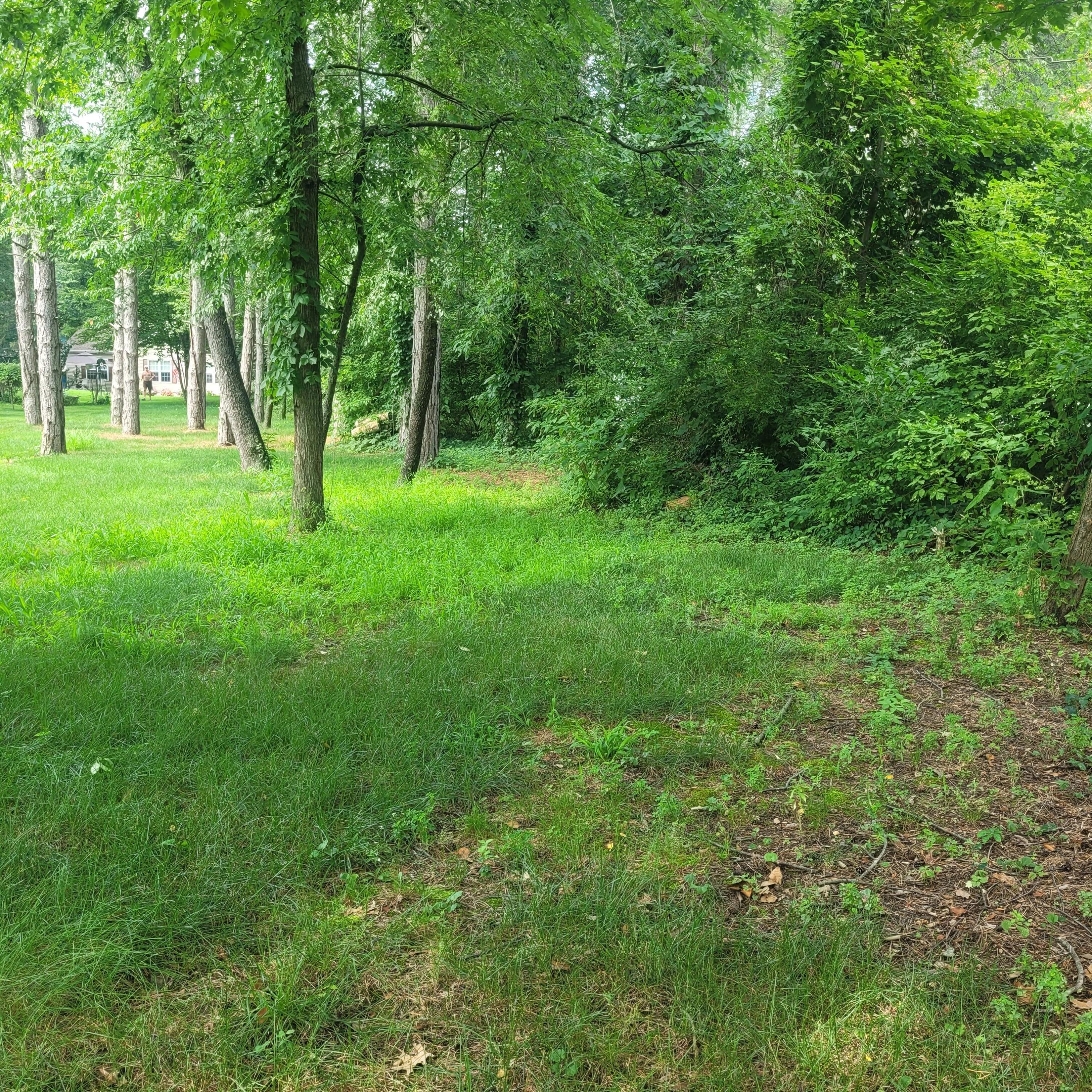 Image 2: 20240731_153501