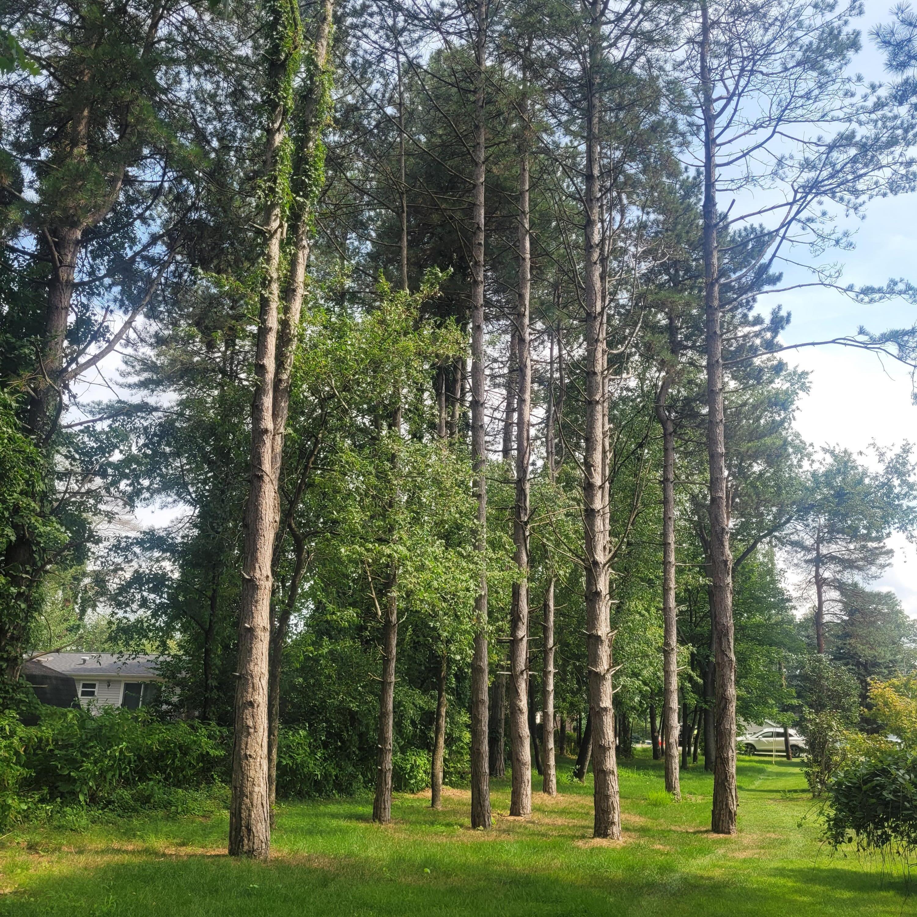 Image 3: 20240731_153328