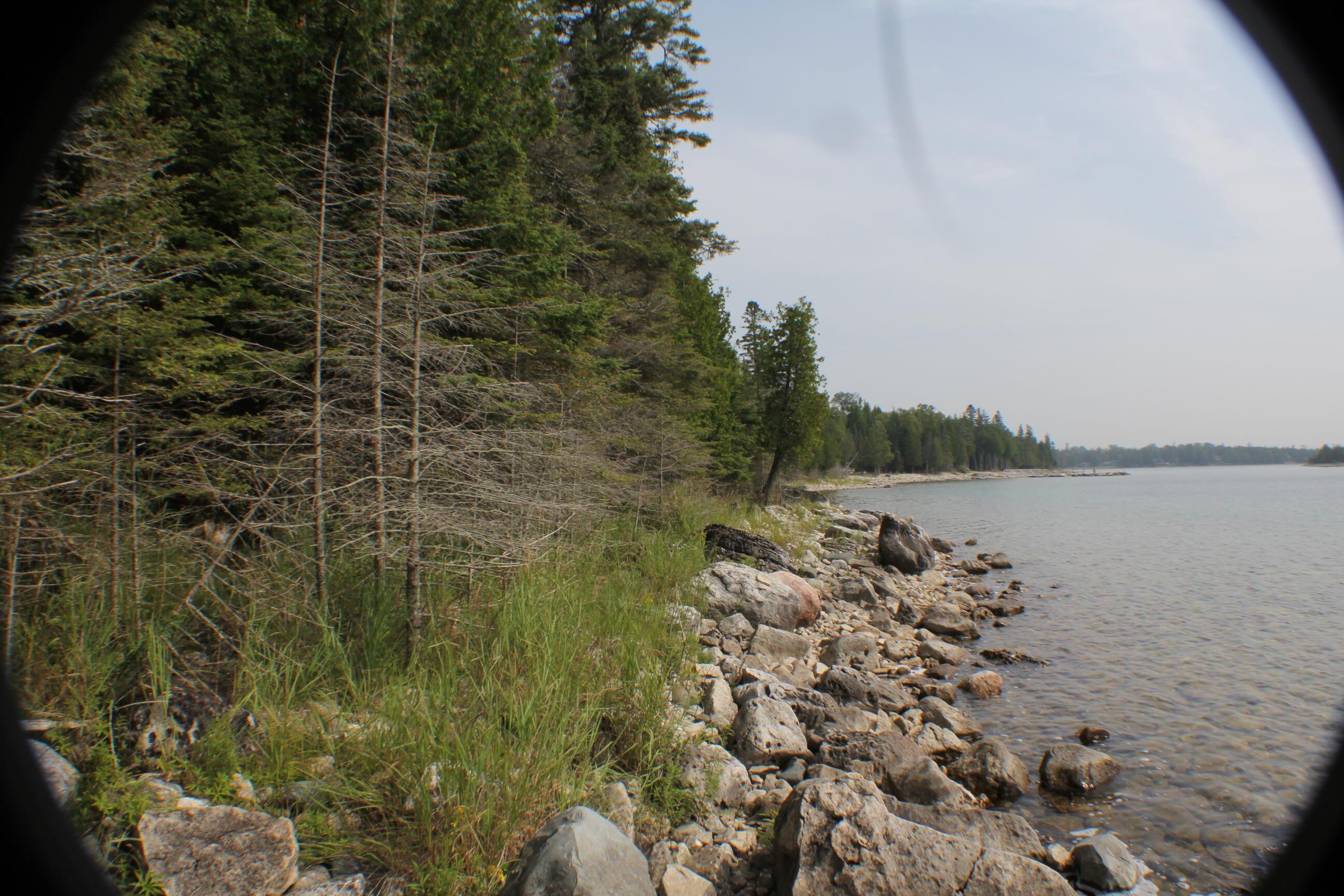 Image 1: Main Photo