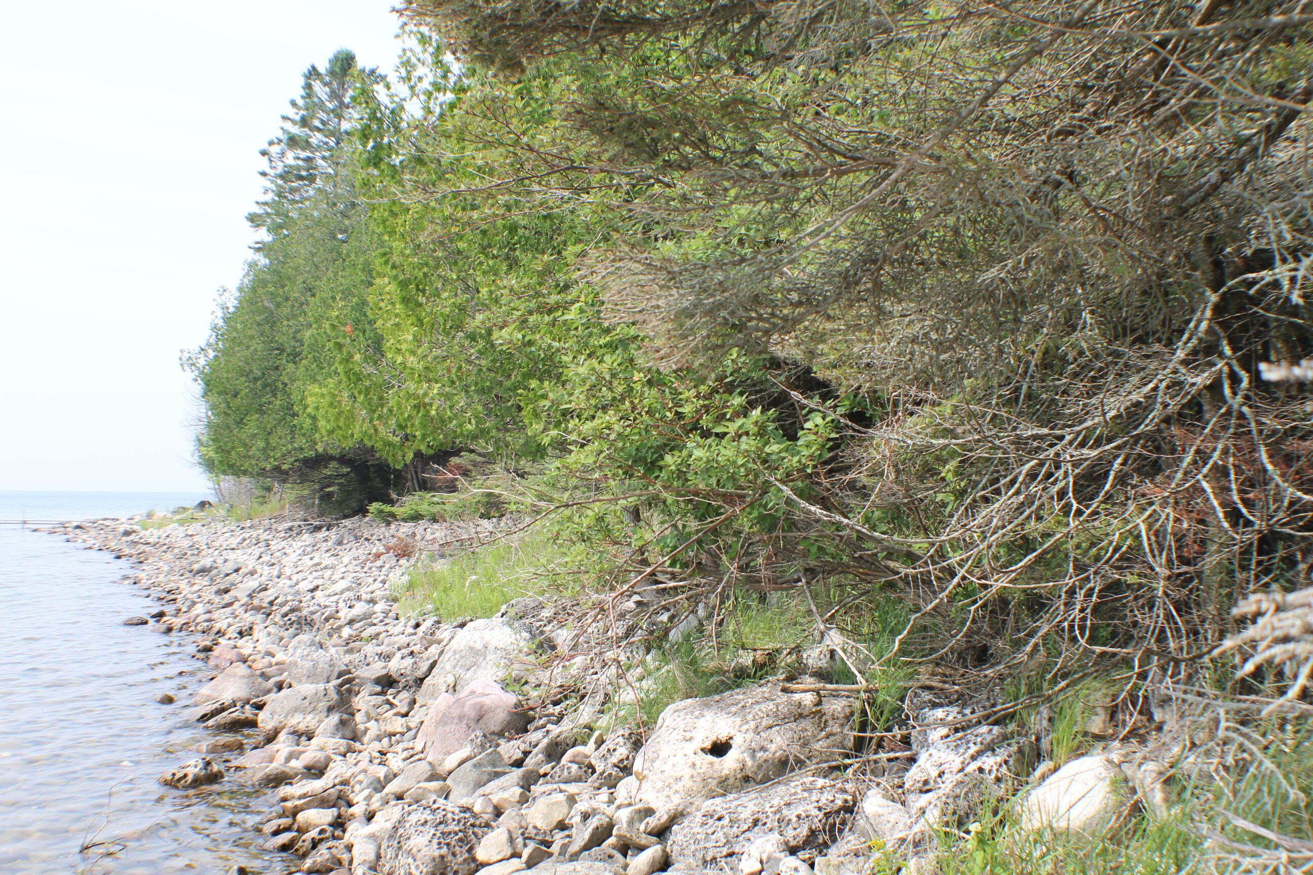 Image 4: Water front