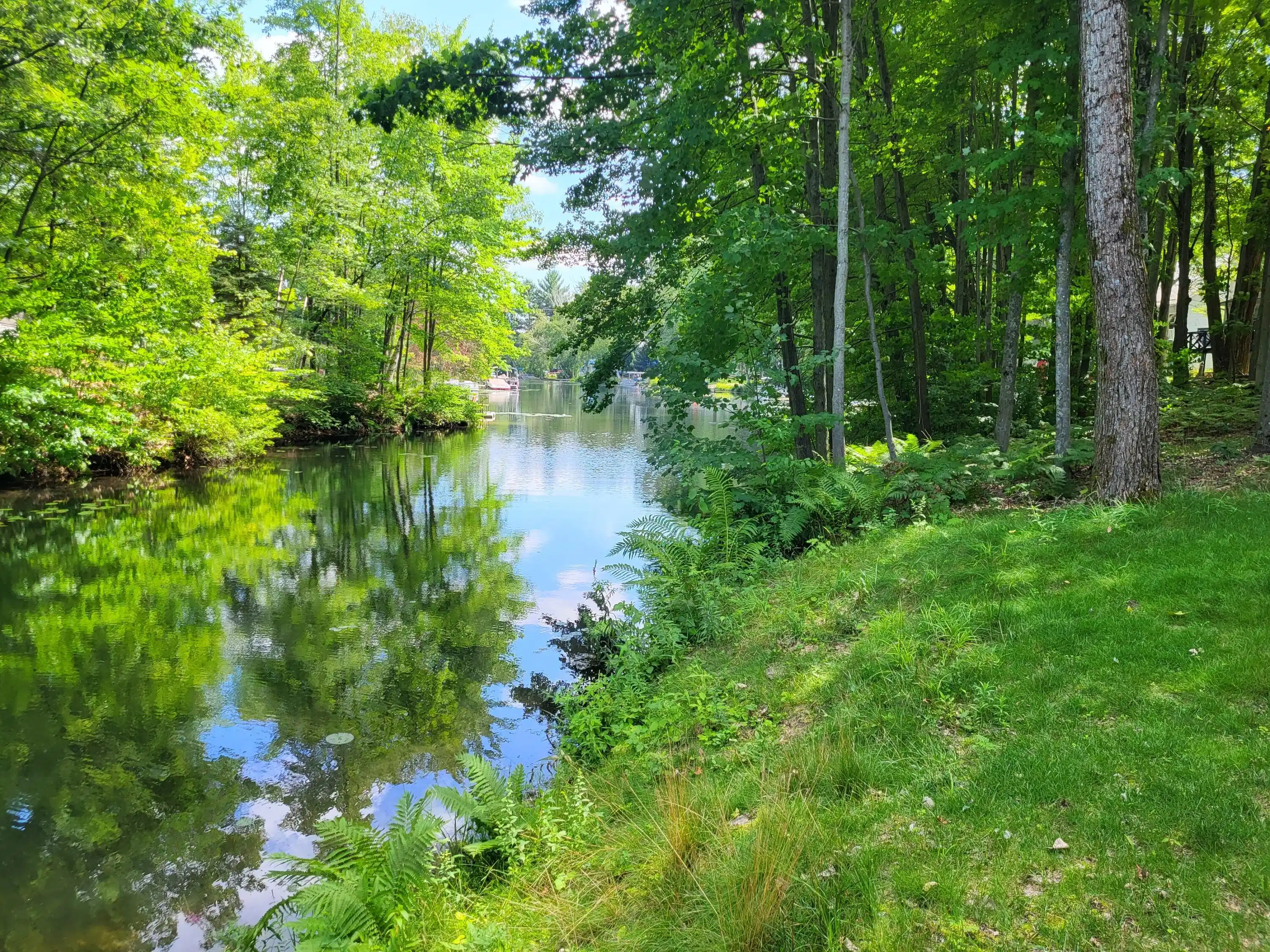 Image 1: 20230810_152812