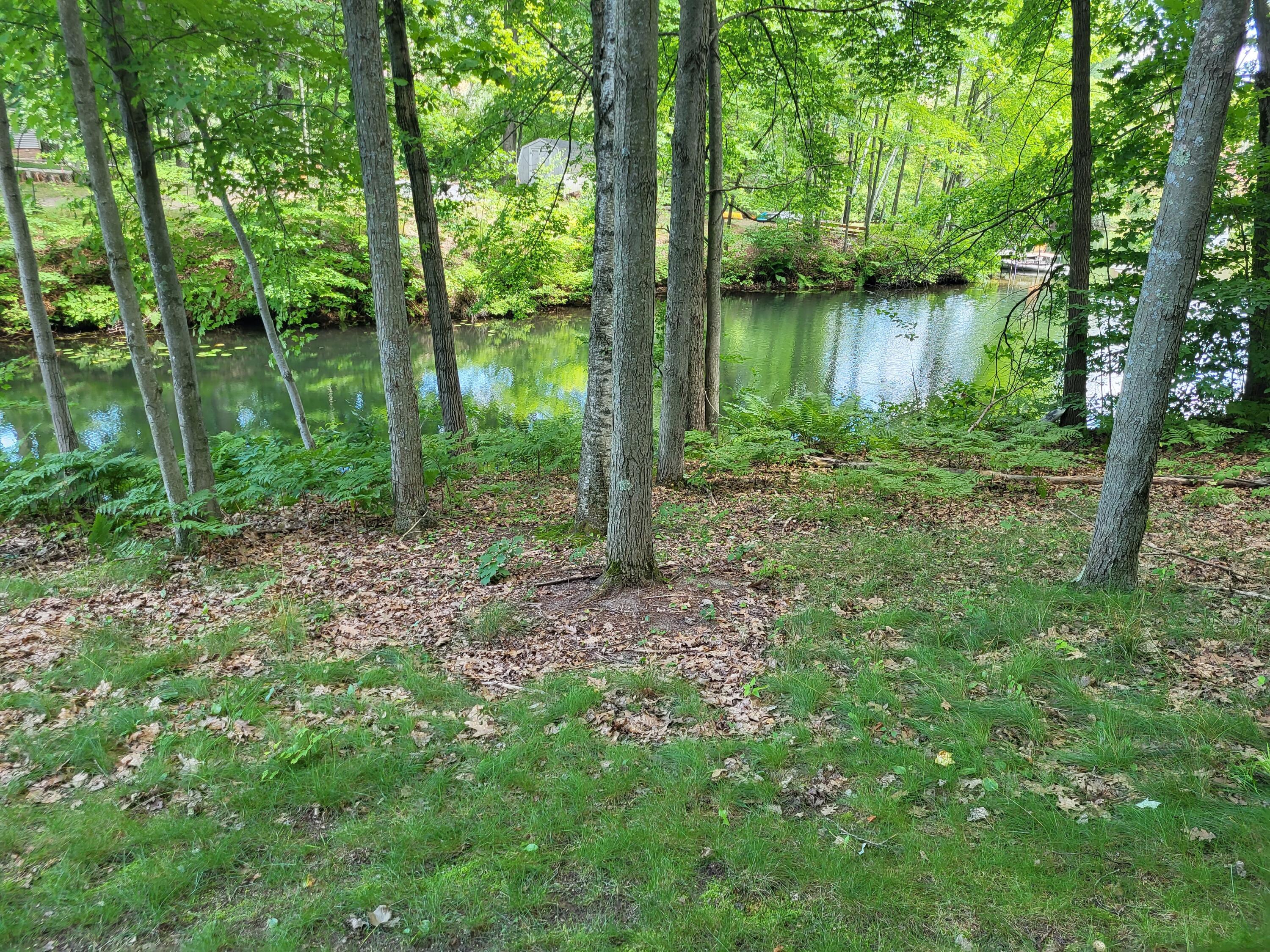 Image 3: 20230810_152831
