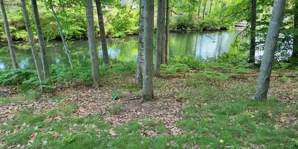 Image 3: 20230810_152831
