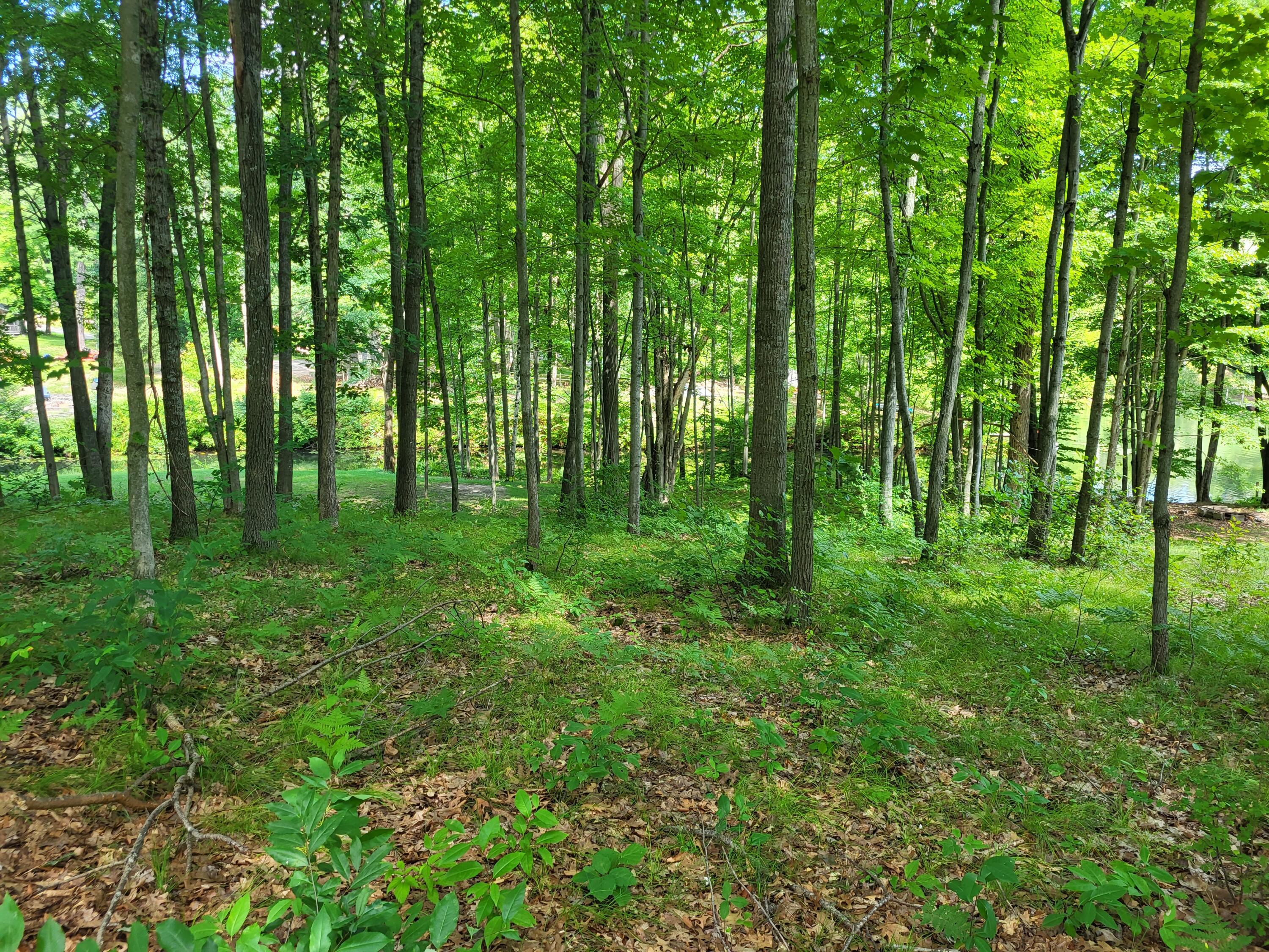 Image 4: 20230810_152532