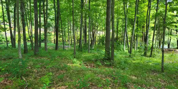 Image 4: 20230810_152532