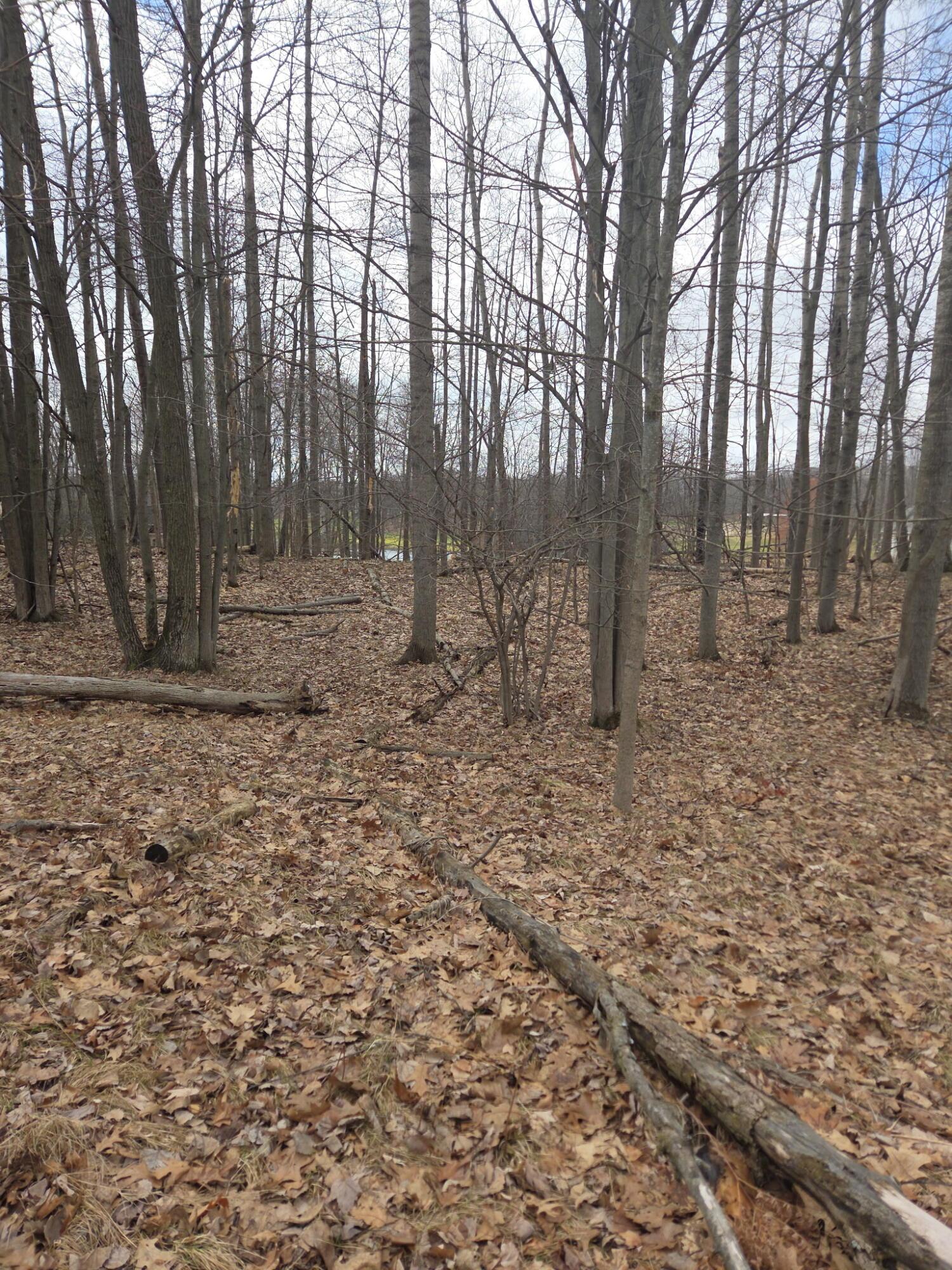 Image 3: IMG_2992