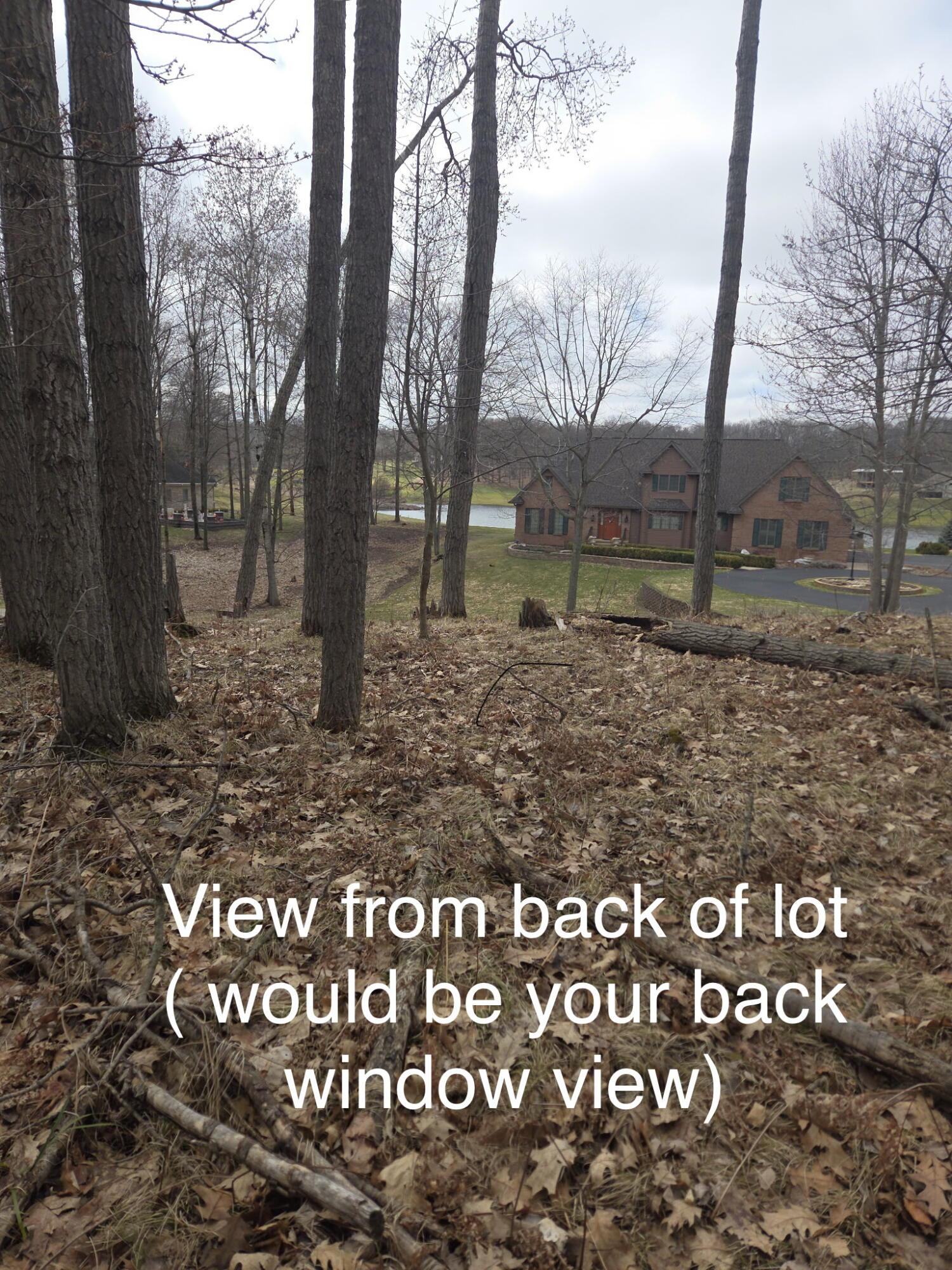 Image 4: IMG_2991