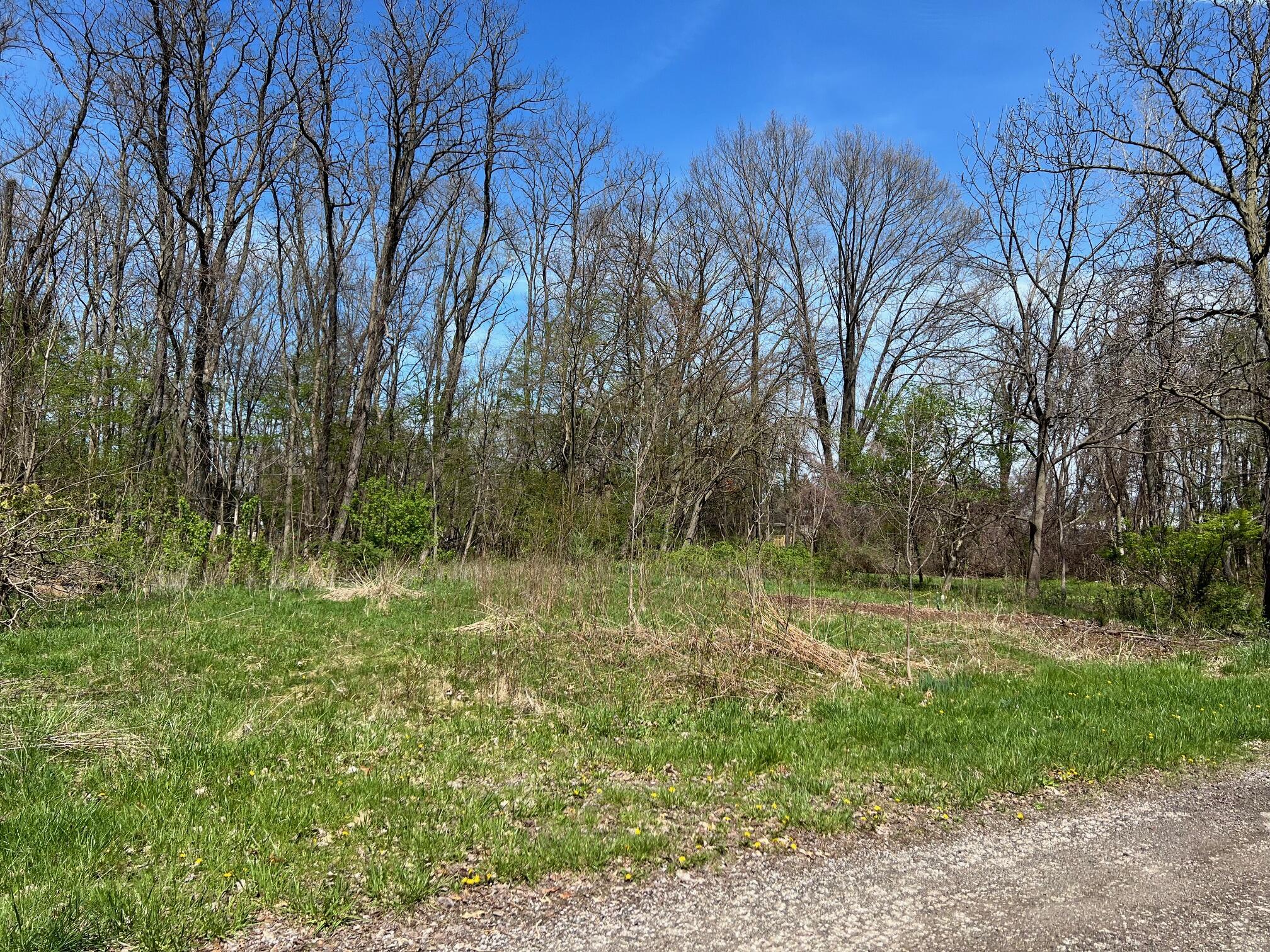 Image 1: Corner lot on Washington Street
