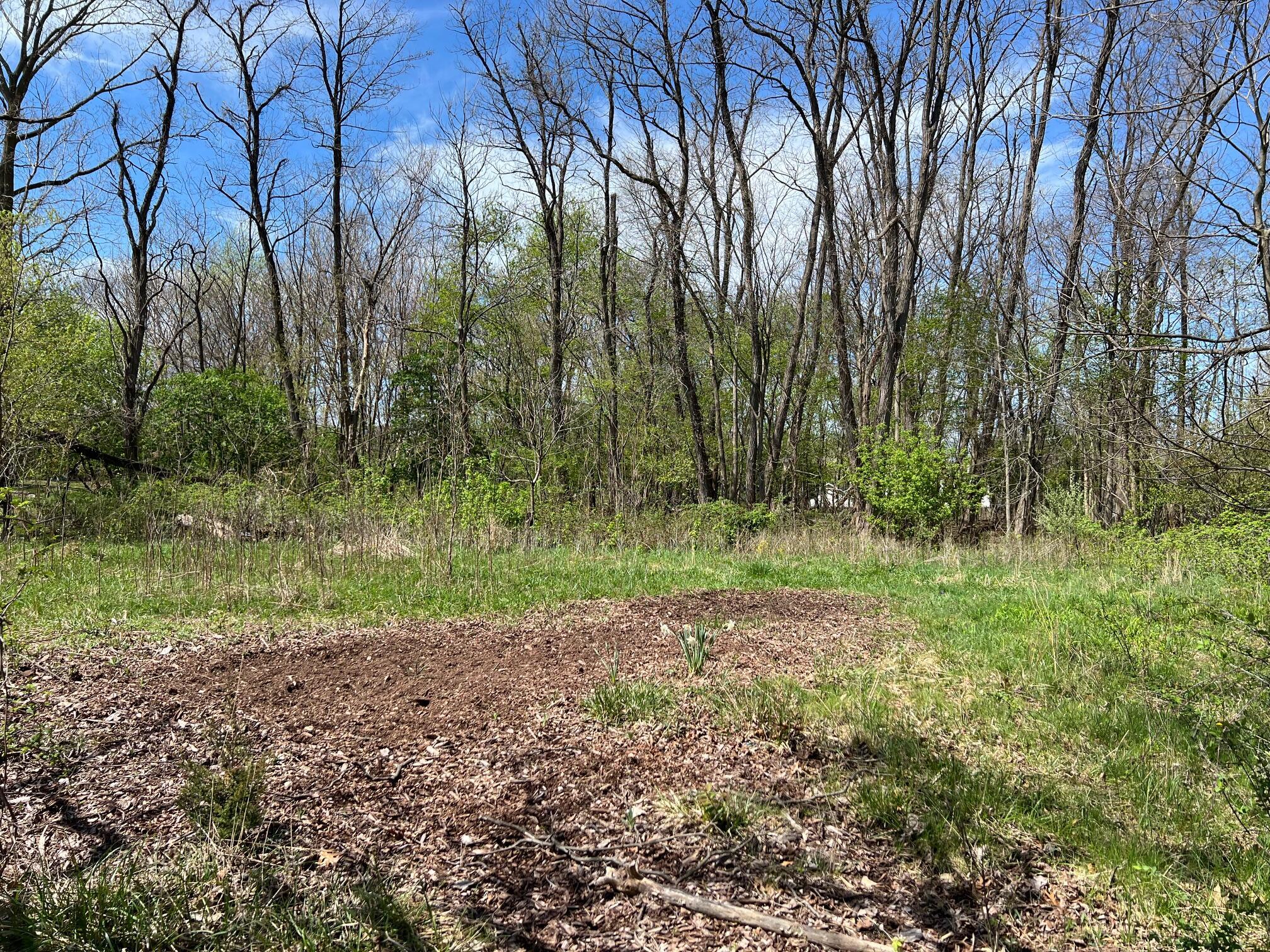 Image 3: total 2 lots