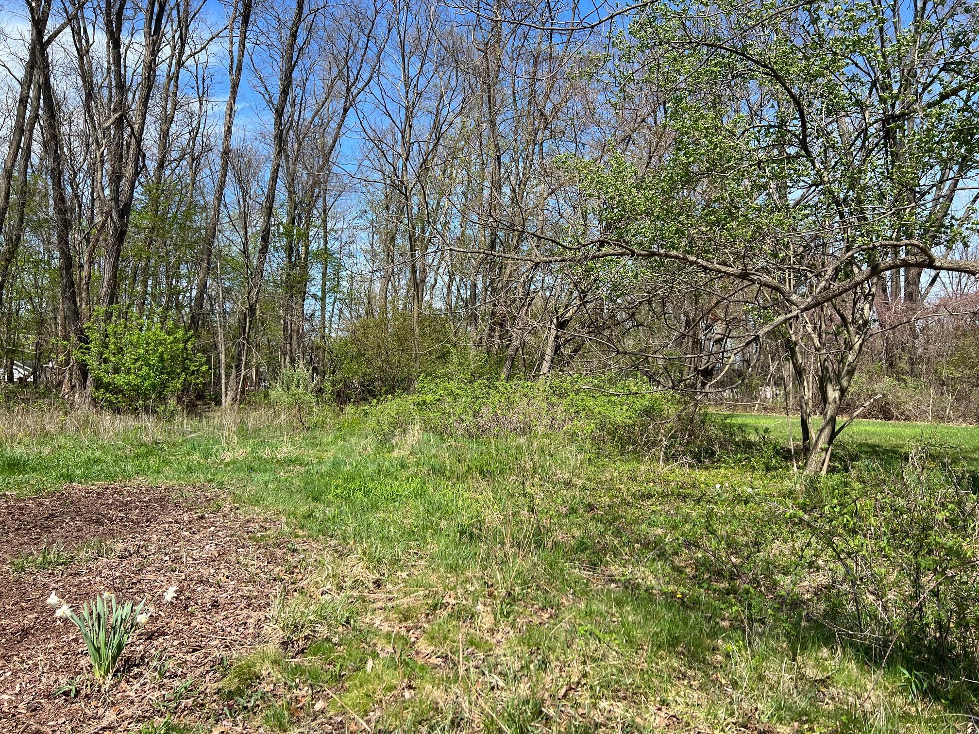 Image 4: total 2 lots