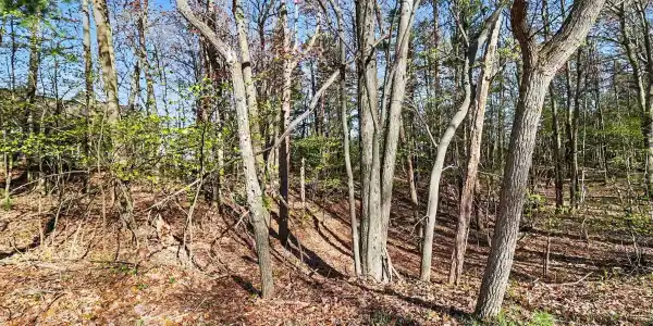 Lot 11 Silver Ridge Road