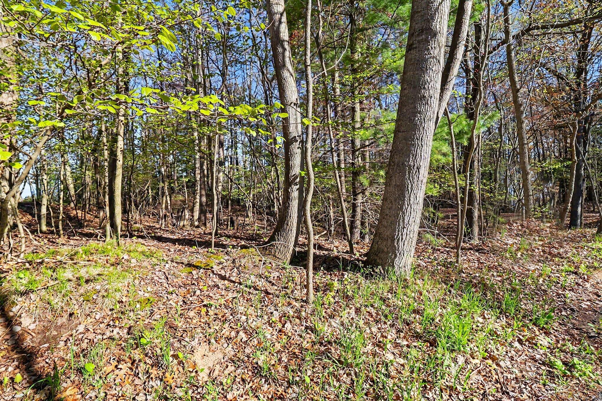 Image 3: file_3823