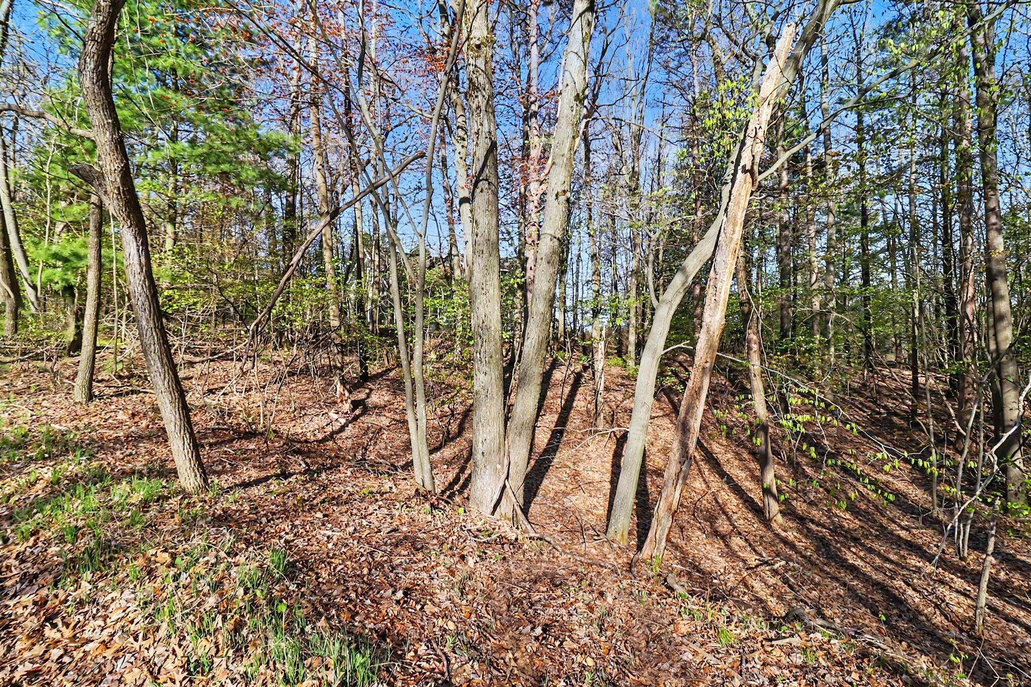 Image 4: file_5601