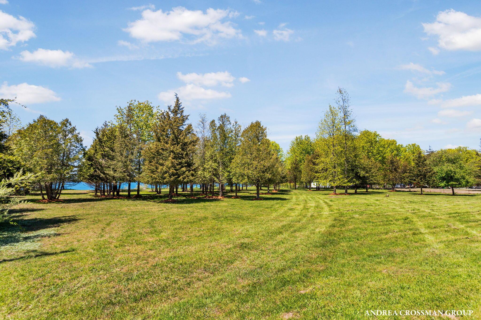 Image 4: 3-web-or-mls-adams-rd-parcel-b