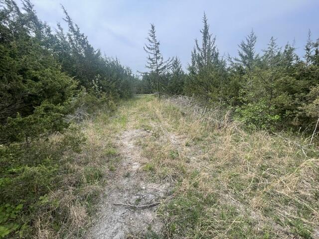 Image 1: Drive into lot
