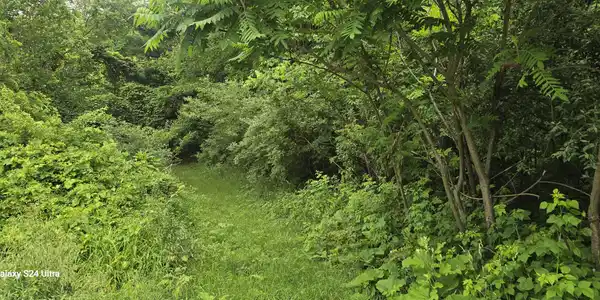 Image 2: 20260617_102105