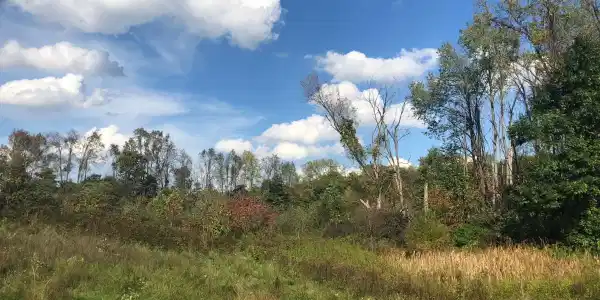 Long Lake Drive