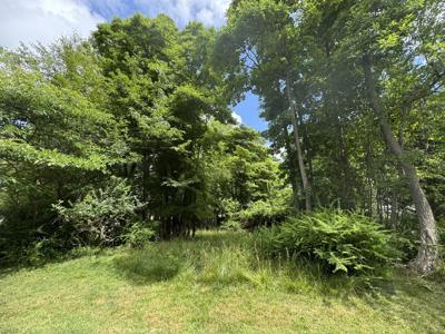 125 W Shore Woods