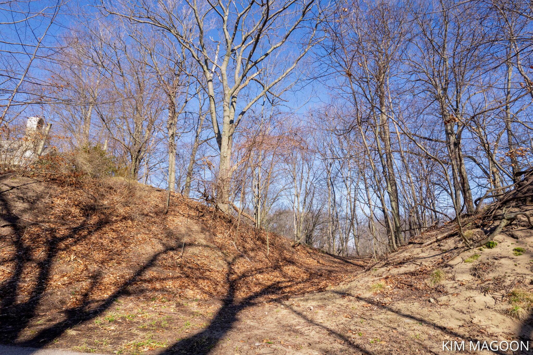 Image 2: 2-web-or-mls-valleywood-ct