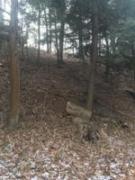 17397 Ottawa Trail
