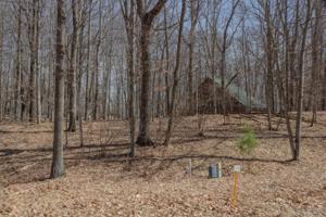 9924 Briarstone Drive #24