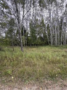 Coocpa- Lake Miramachi