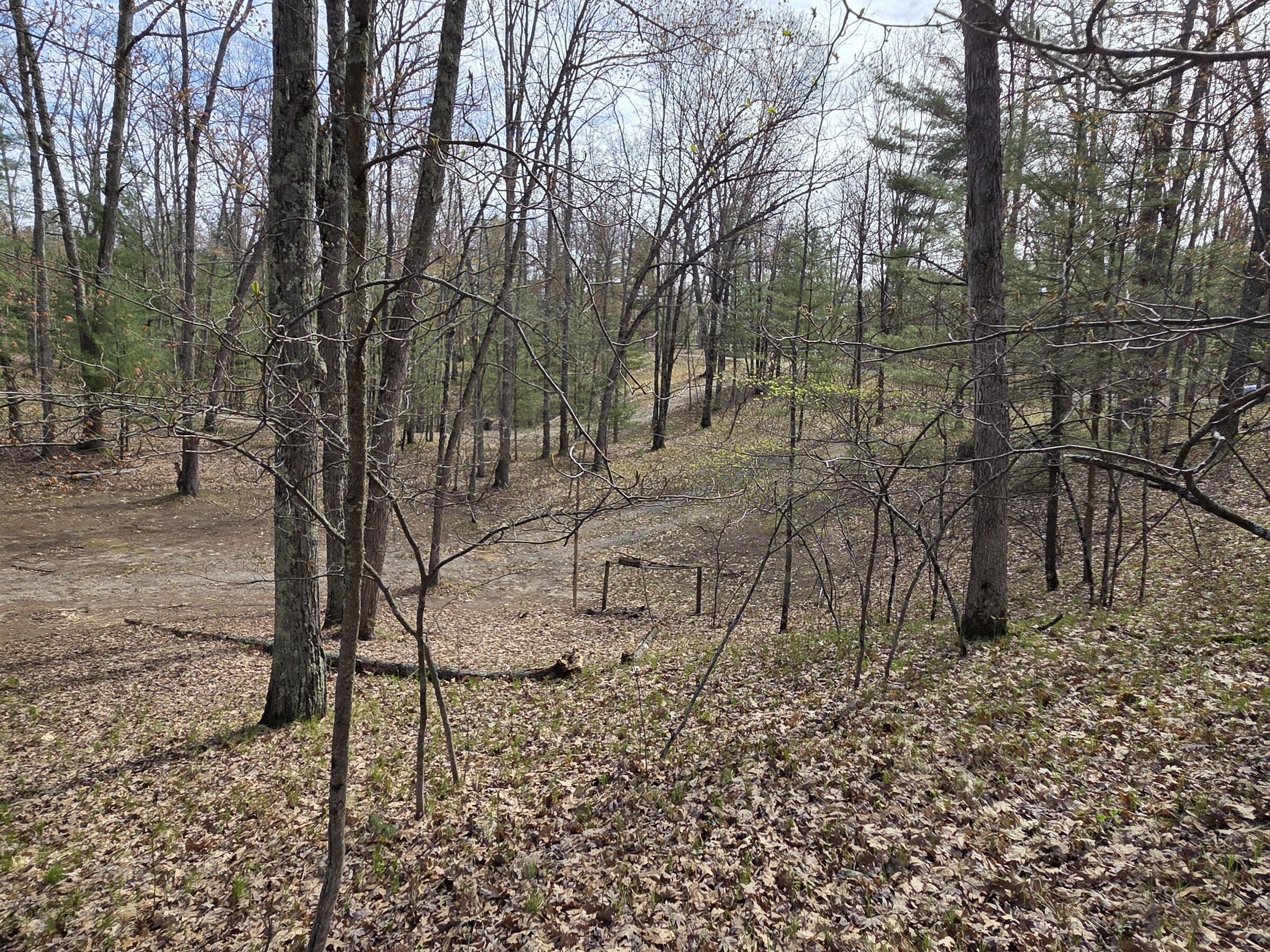 Image 3: 20260506_103728