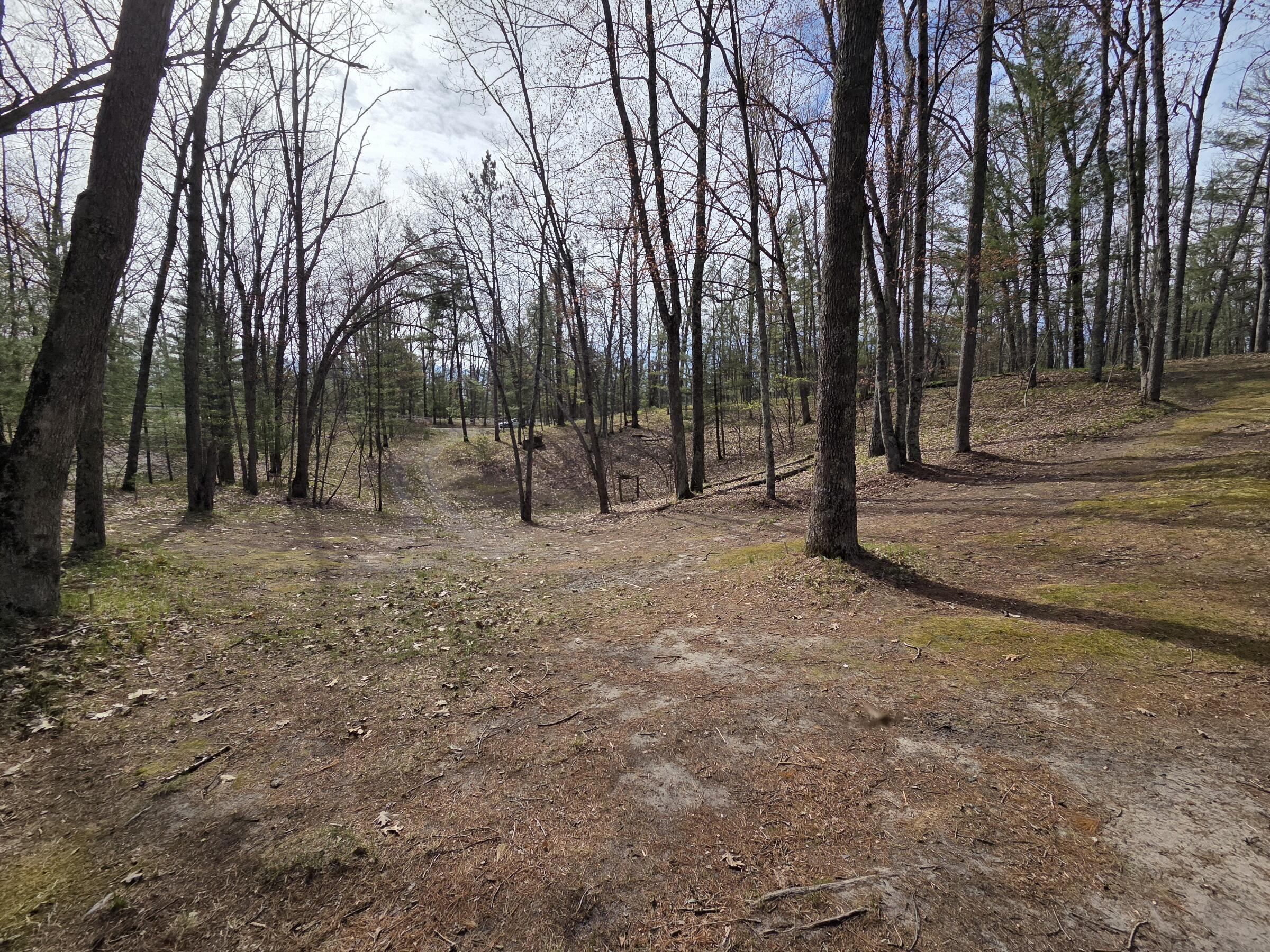 Image 4: 20260506_103556
