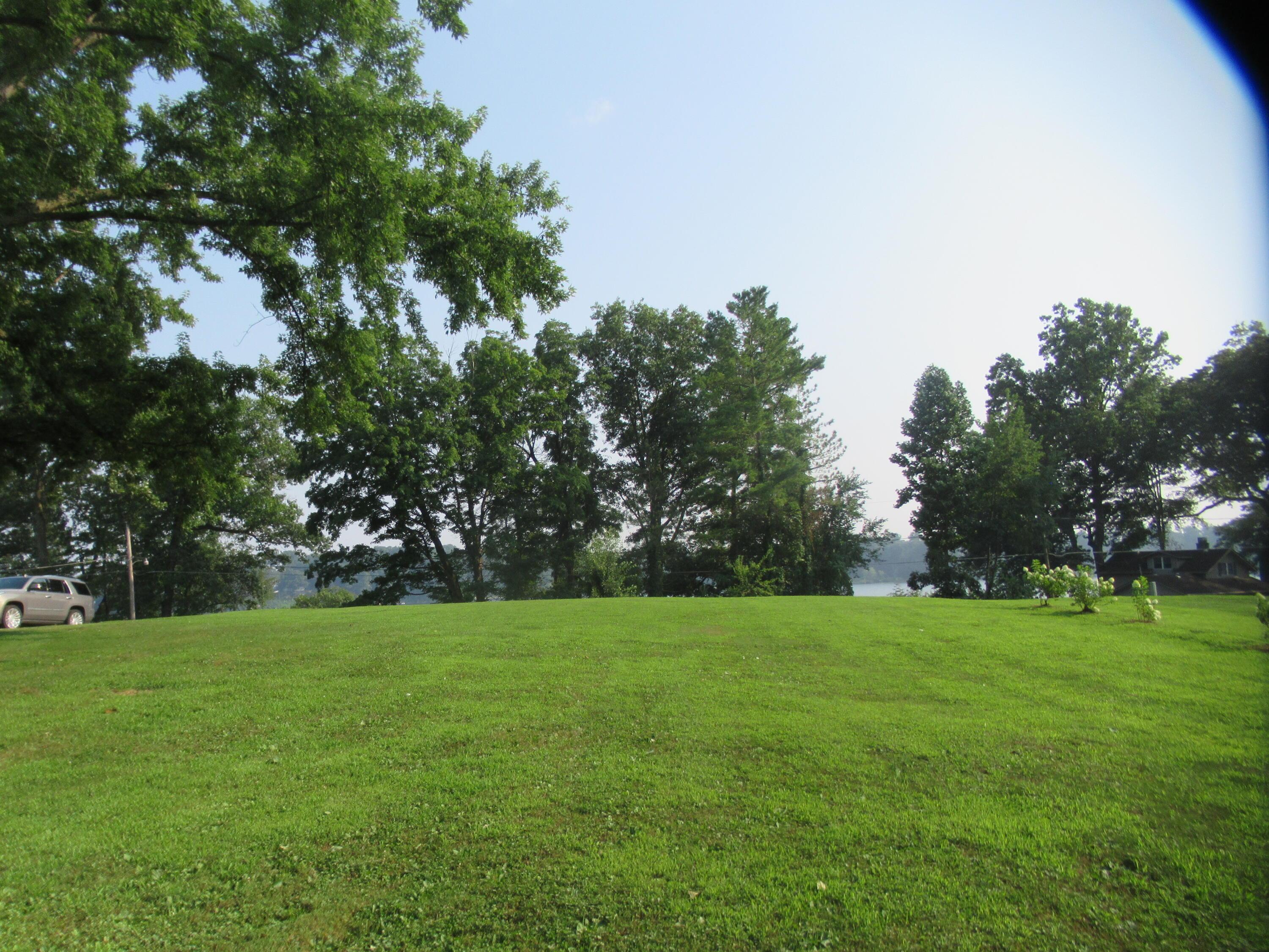 Image 2: IMG_0128