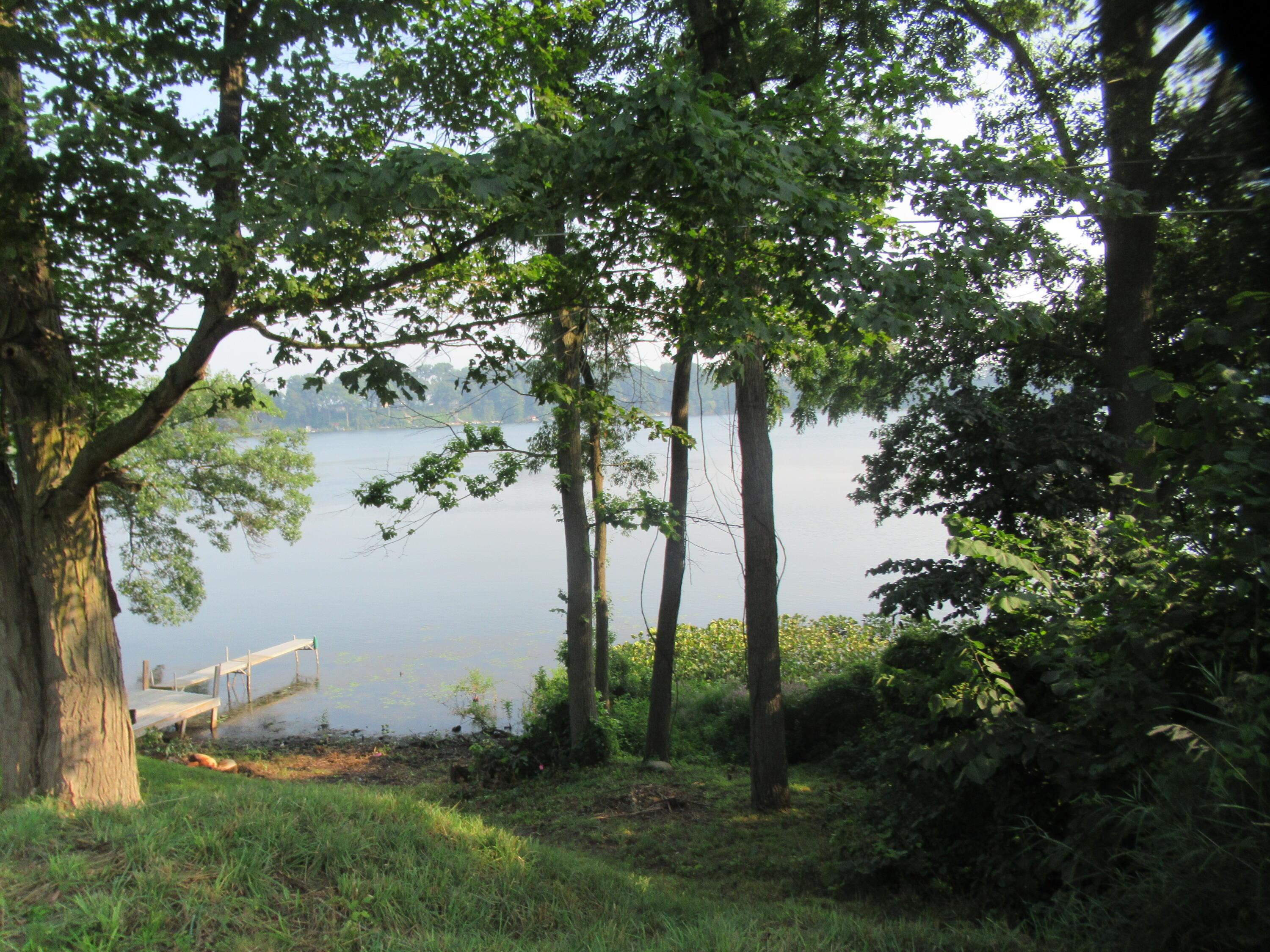 Image 4: IMG_0131