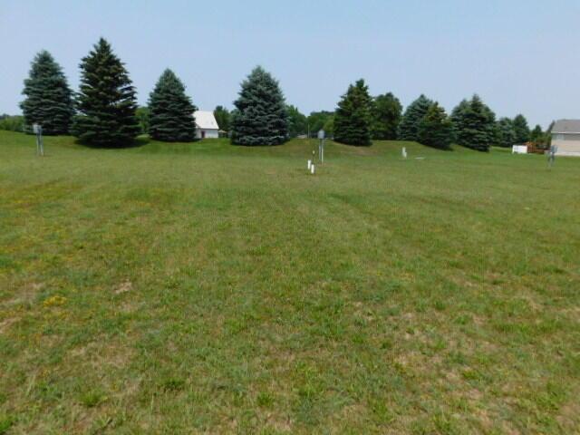Image 1: lot