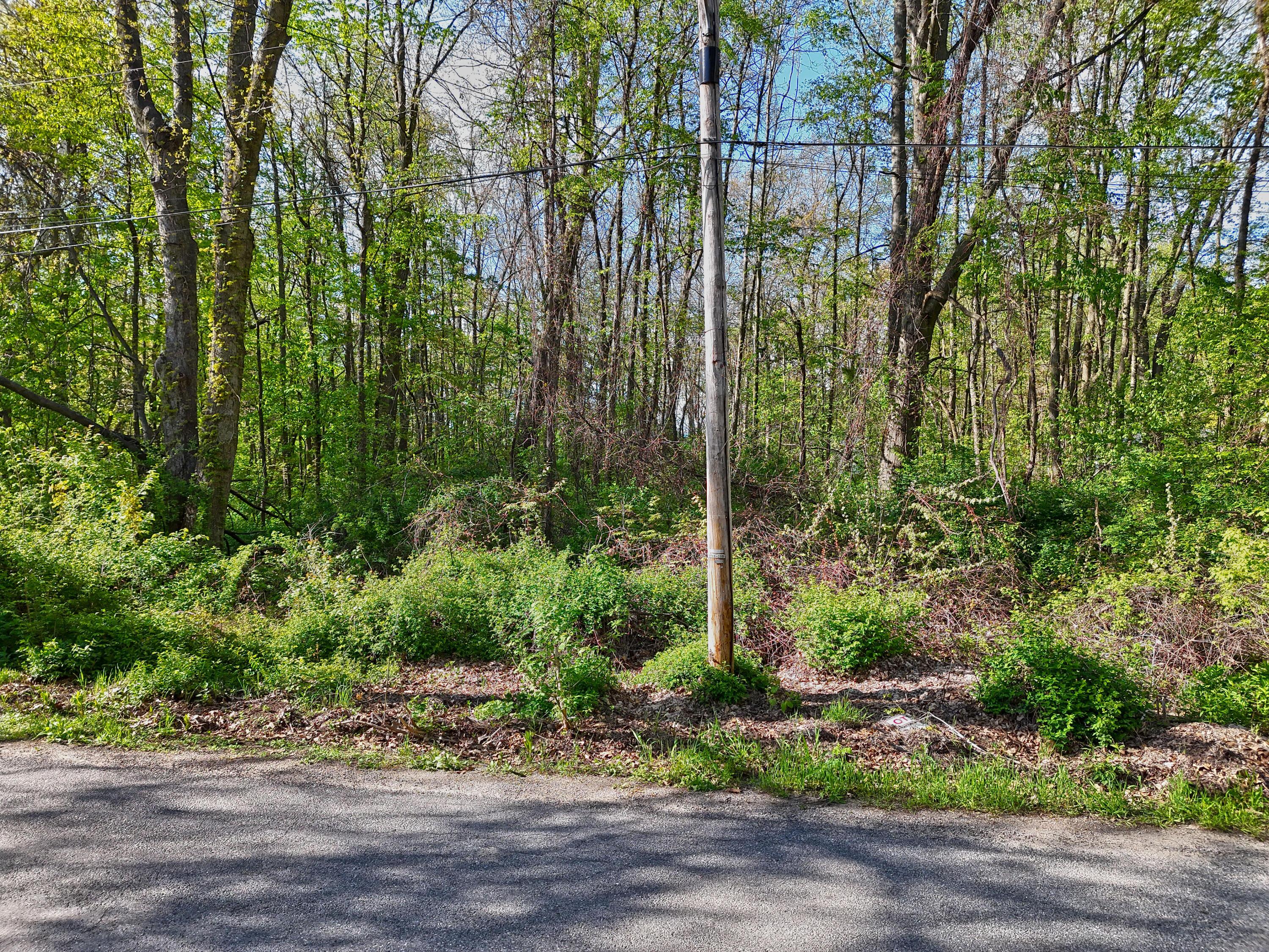 Image 3: Wooded Lot