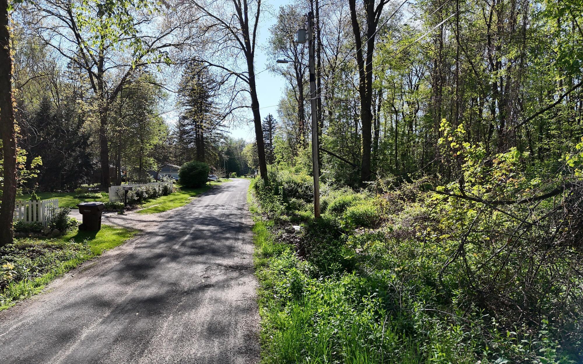 Image 4: View of Ellen Rd. & Lot