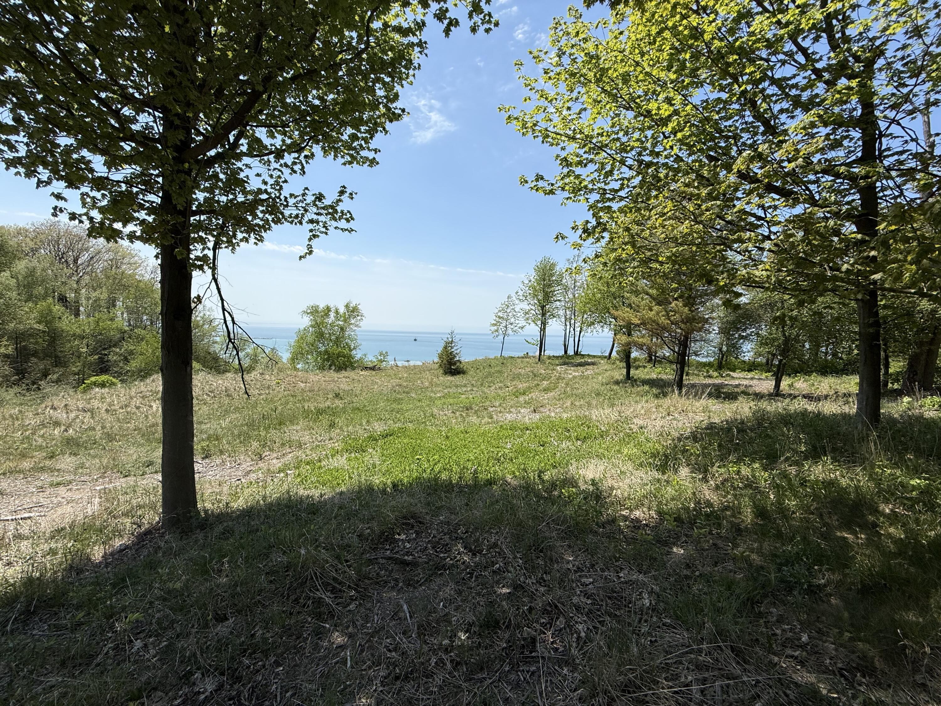 Image 3: IMG_0991