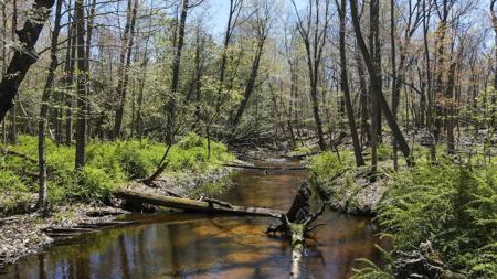 4395 Windward Forest Trail