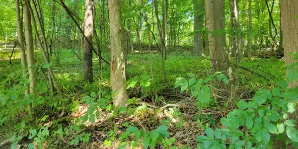 Image 4: 20250729_114052 (1)