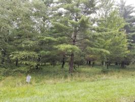 Creekwood Drive