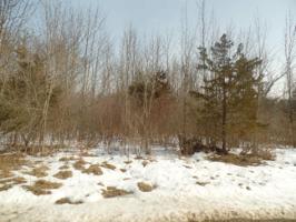 lots 101st Avenue