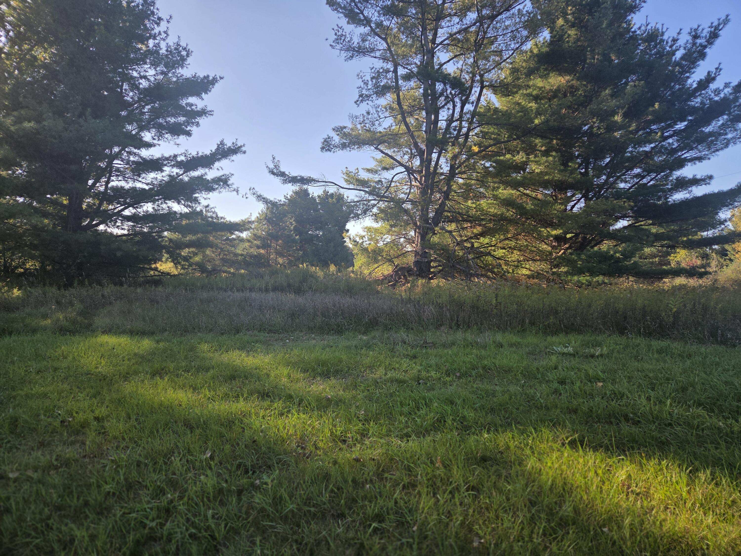 Image 4: 20251002_170537