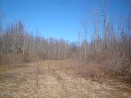 00 Wiley Road