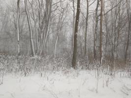 1600 34-38 Walker Road 49408