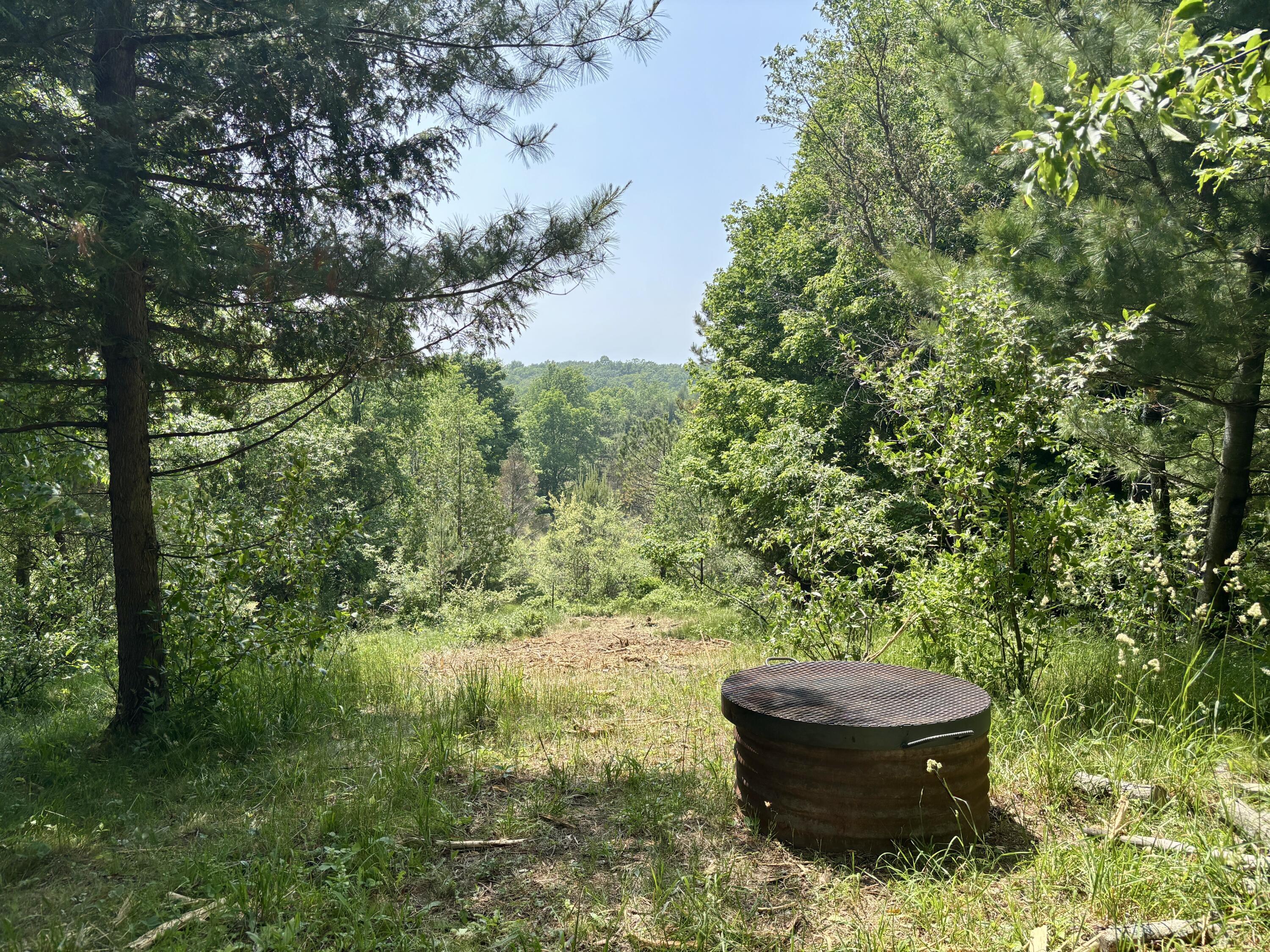 Image 2: 2