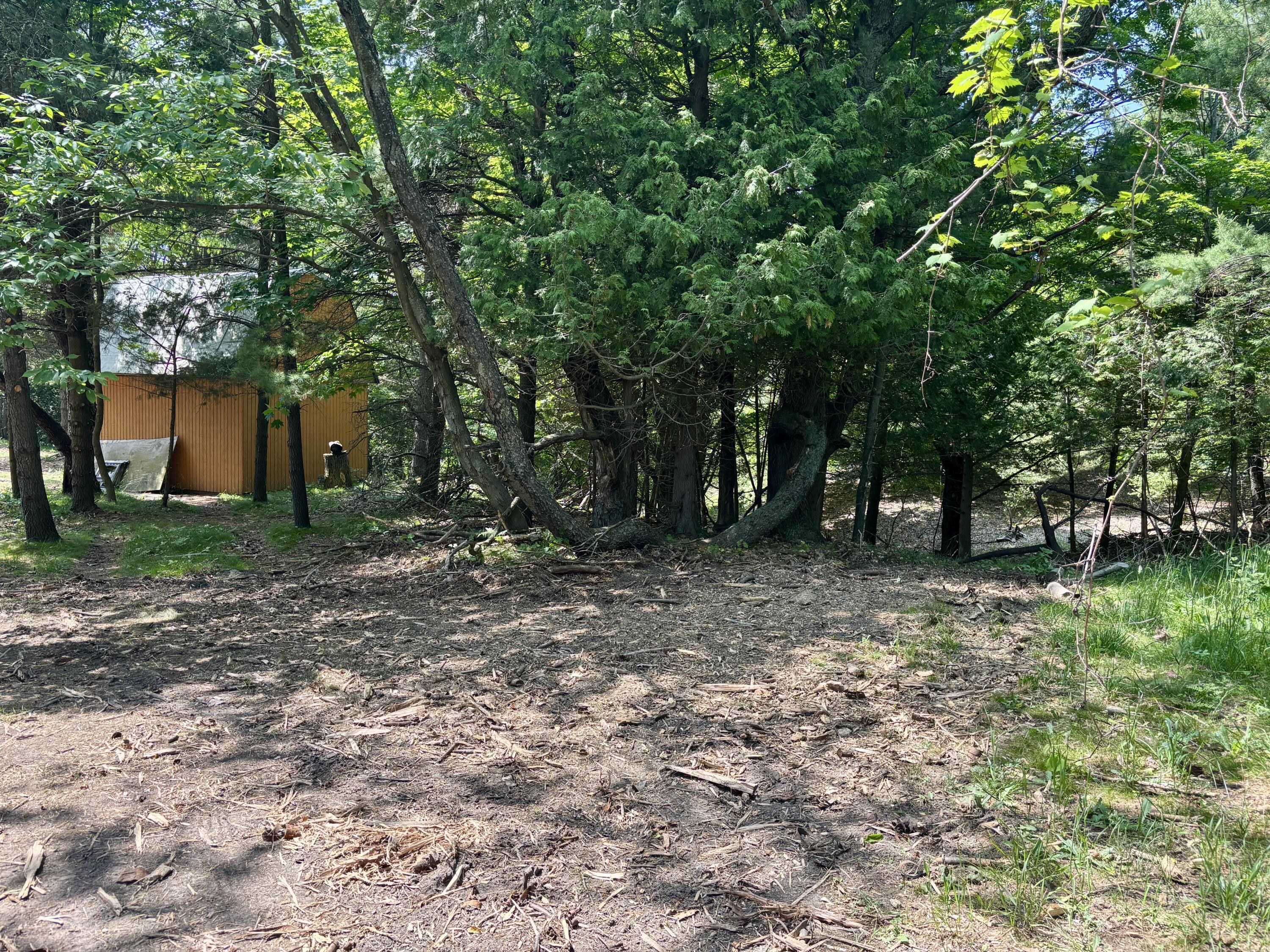 Image 4: 4