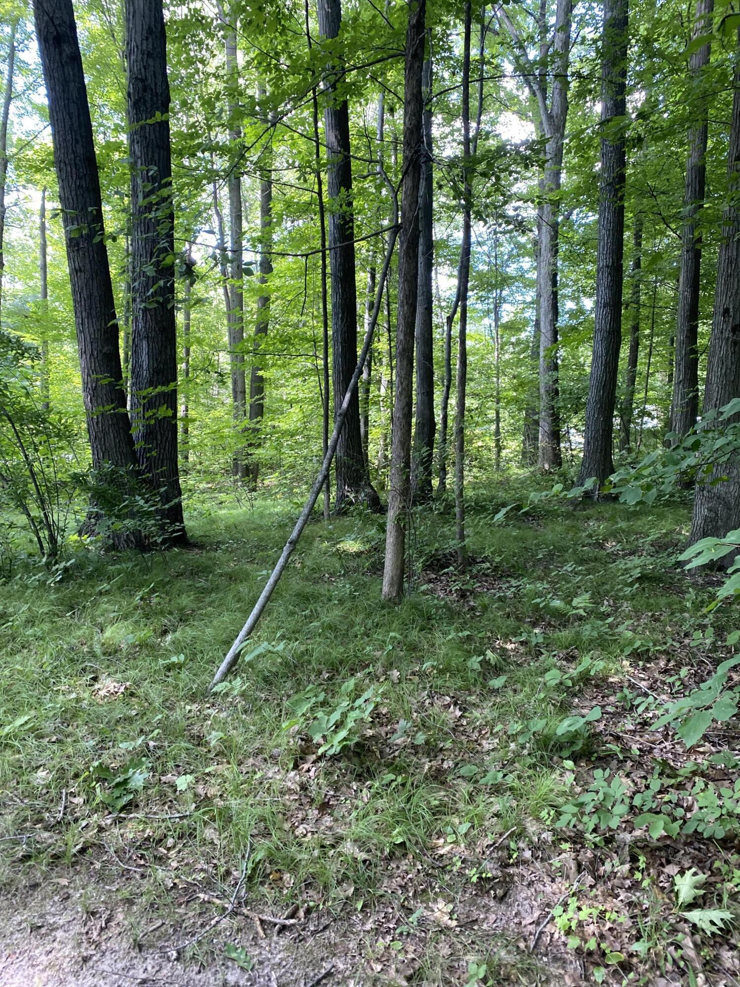Image 3: IMG_7288