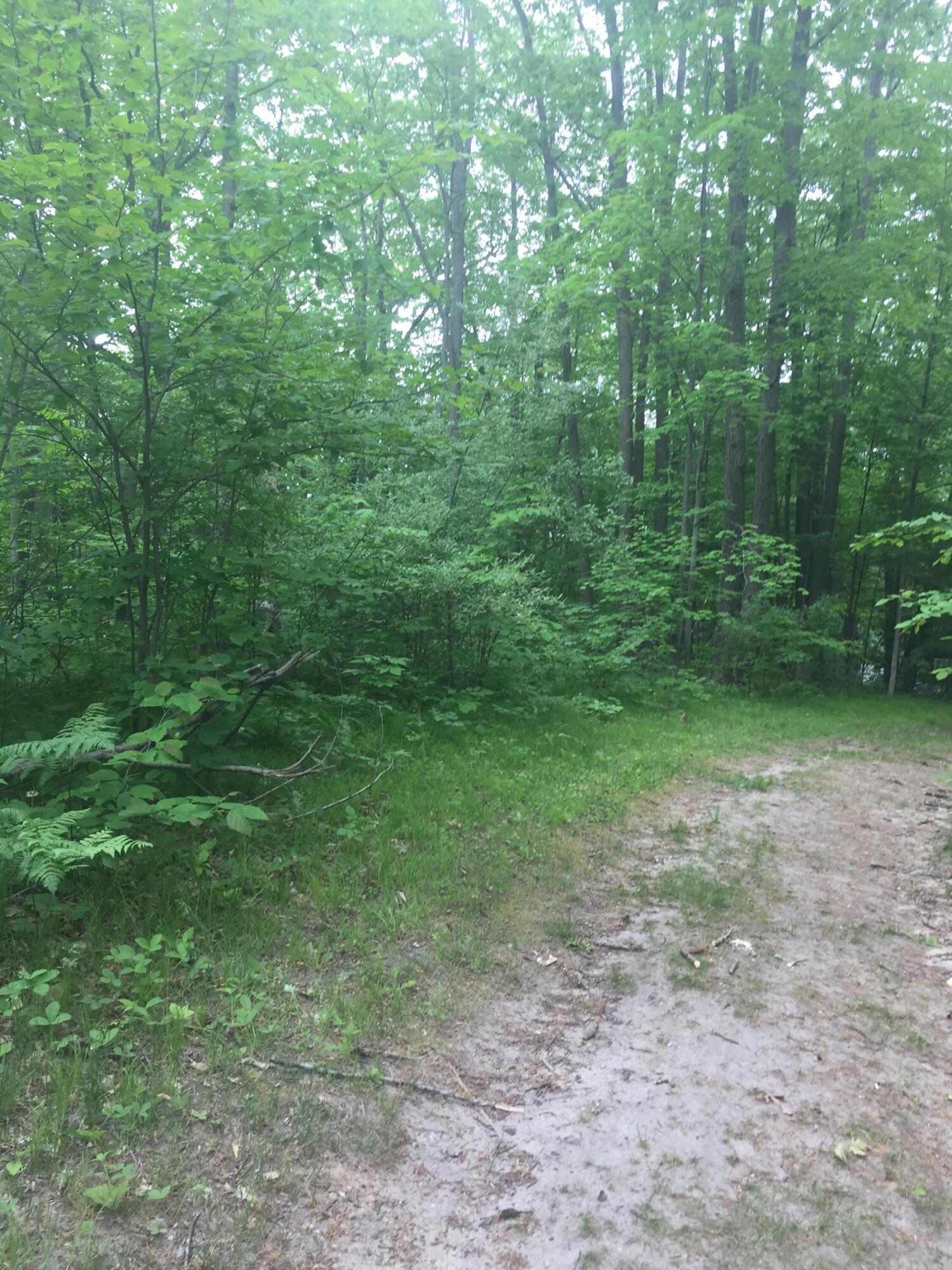 Image 4: IMG_5356