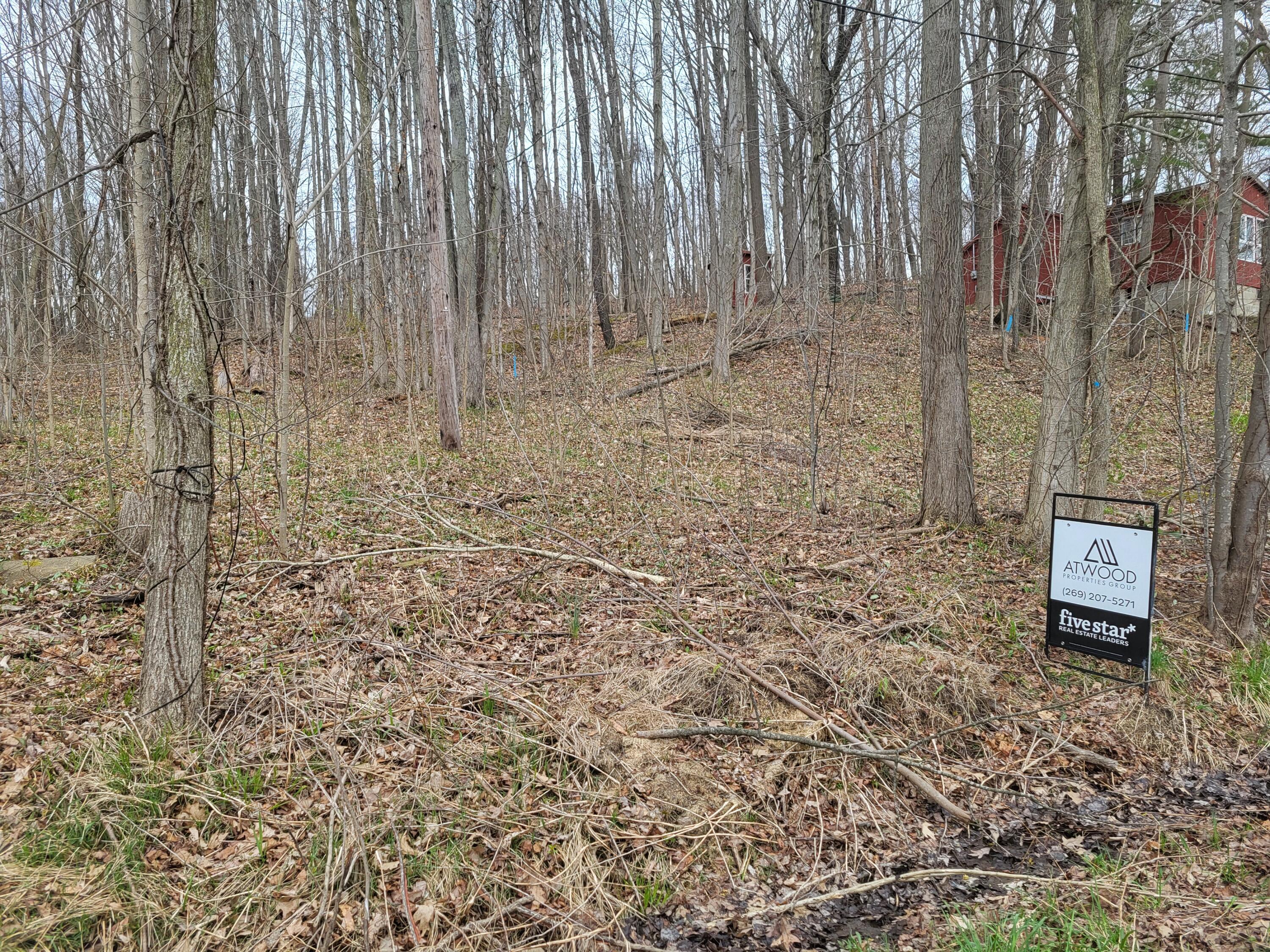 Image 1: Wooded lot 2