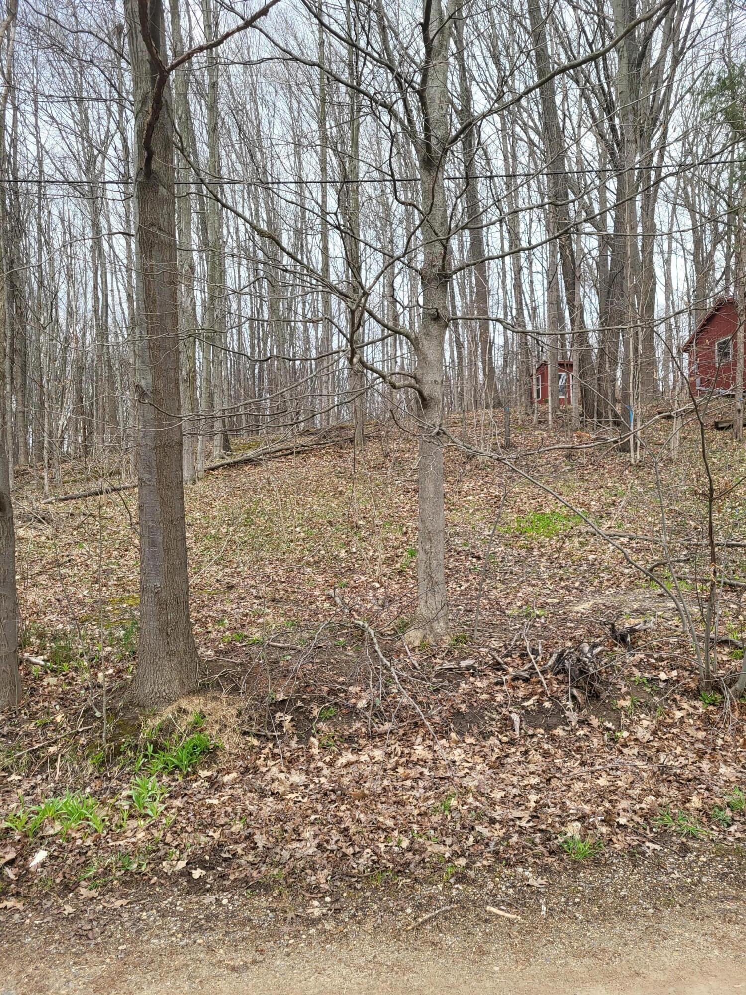 Image 4: Wooded lot 6