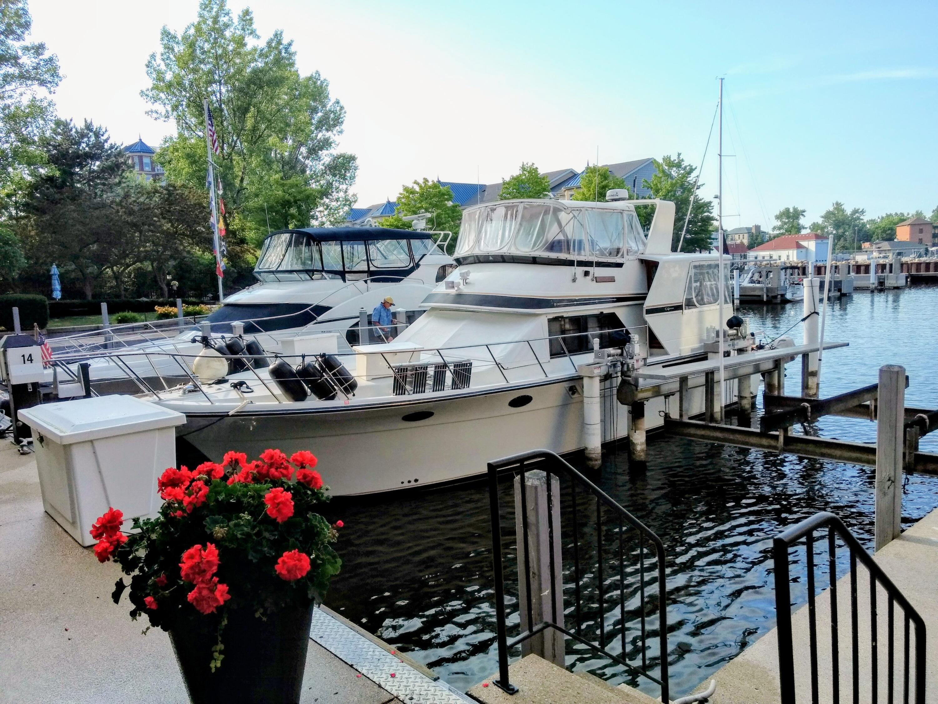 Image 2: Boat on lift