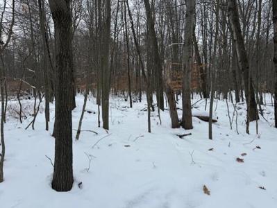 12066 Red Feather Lane